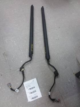 Ford Truck Jl1b-78402a55-ab Pair Of Tailgate Liftgate Struts Pistons Fits 18-21 Expedition Oem