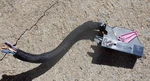 15-21 Mercedes Benz C300 Audio Amplifier Wire Harness Plug Connector 1534180-2 Used. Price: $40.00.
