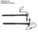 2PCS Oem Genuine Toyota RAV4 2013-2018 Tailgate Lift Supports Struts 6891009010 New. Price: $119.99.