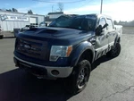 Audio Equipment Radio Amplifier Fits 11-12 Ford F150 Pickup 31924305 Used. Price: $125.46.