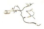 Bose Radio Amplifier With Harness Fits 99-00 Mazda MX-5 Miata Used. Price: $166.25.